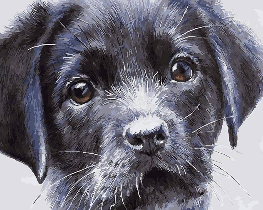Amazon | 子供のための数字キットによるDiy油絵黒犬の絵大人の